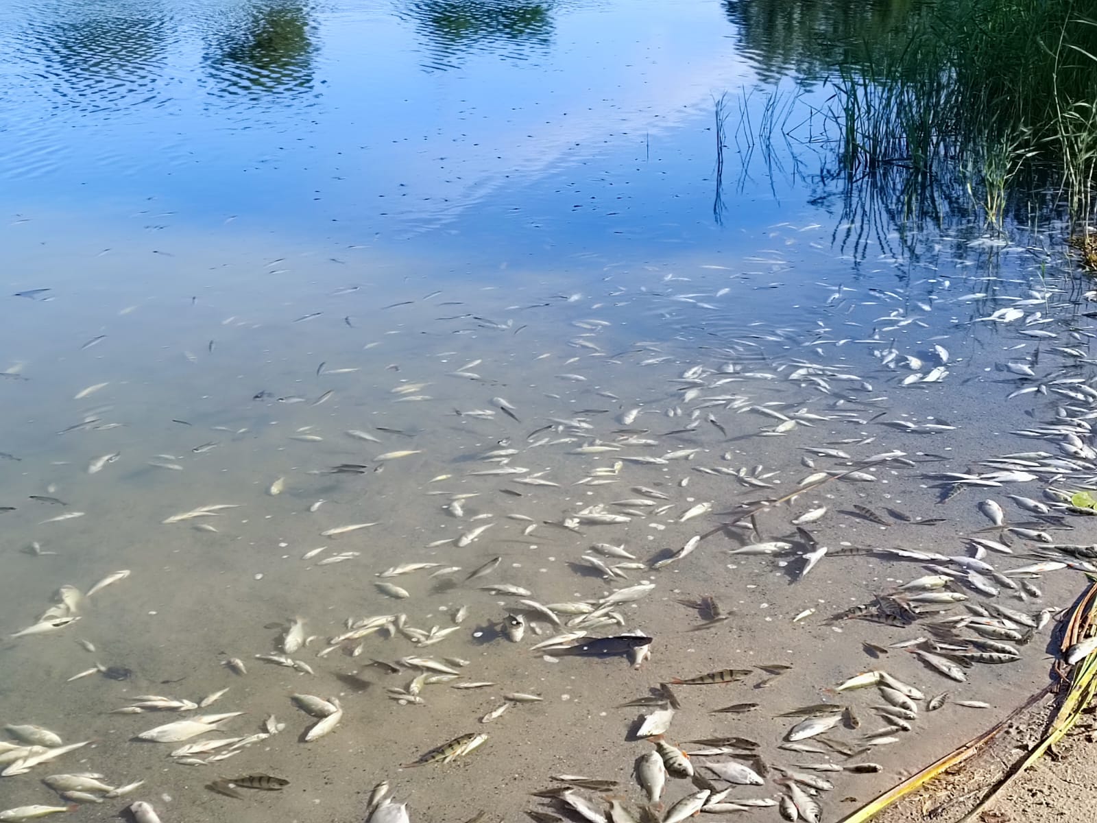 Sauerstoffmangel 2023